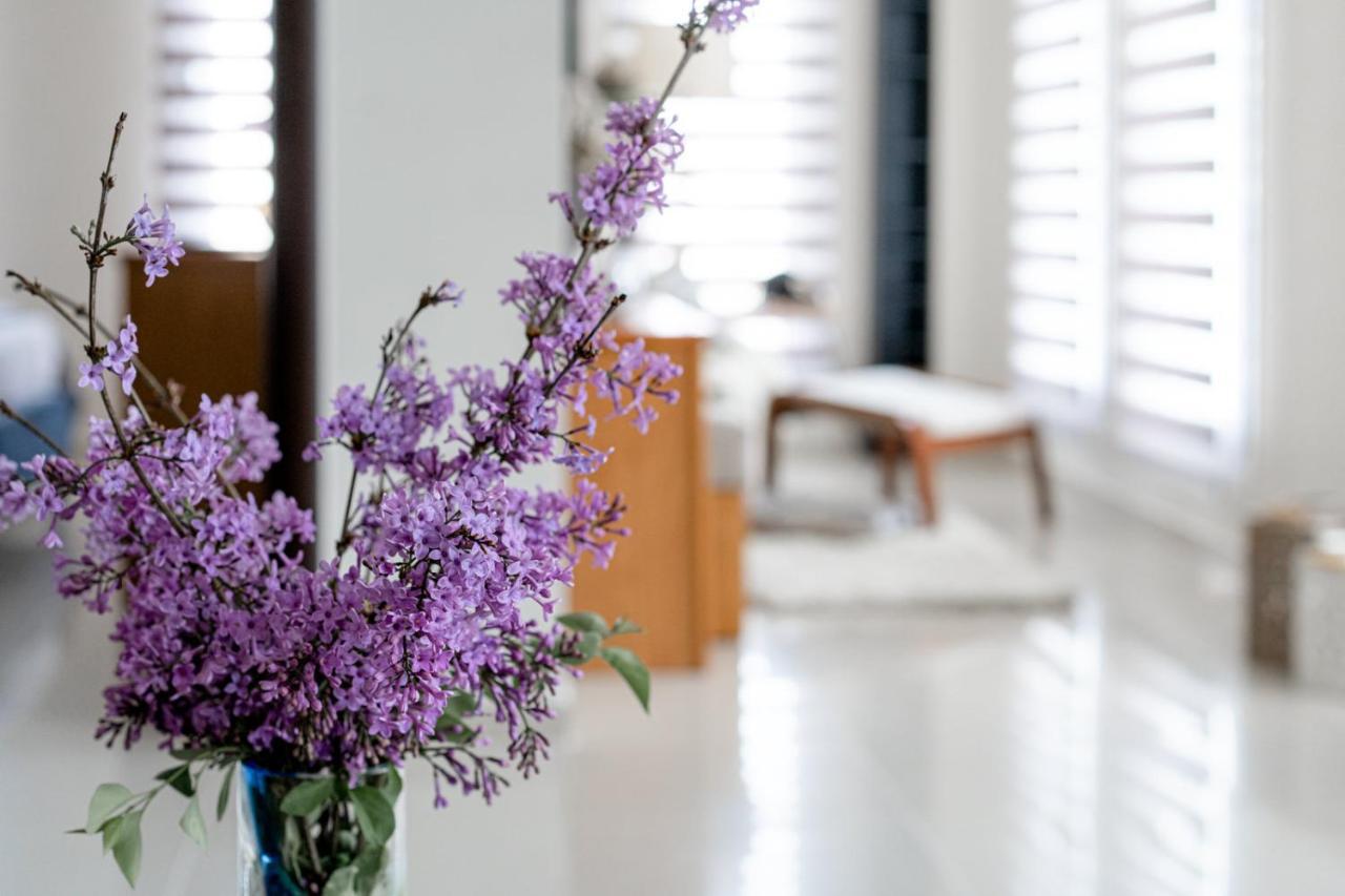 Veria Panorama Luxury Suite With Garden. Екстер'єр фото