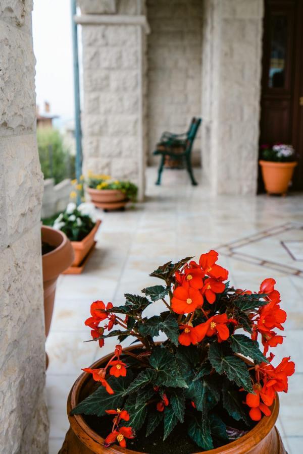 Veria Panorama Luxury Suite With Garden. Екстер'єр фото